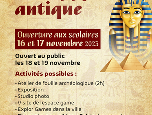Agrandir l'image (fenêtre modale)