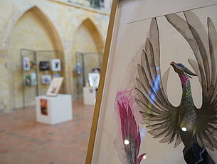 Agrandir l'image (fenêtre modale)