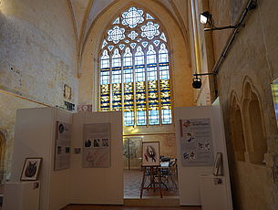 Agrandir l'image (fenêtre modale)