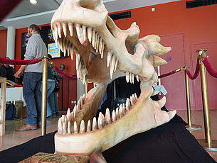 Agrandir l'image (fenêtre modale)