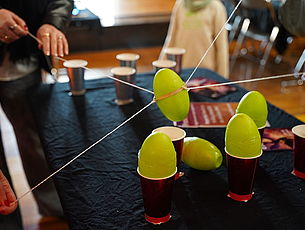 Agrandir l'image (fenêtre modale)