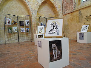 Agrandir l'image (fenêtre modale)